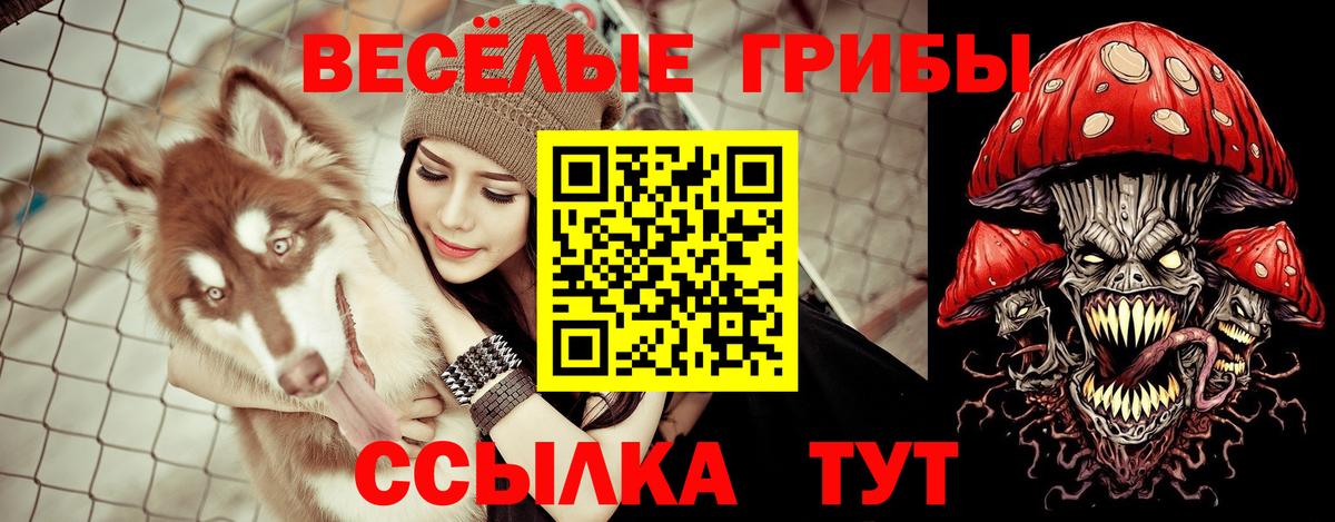 где купить   Псилоцибиновые грибы Magic Shrooms  Псилоцибиновые грибы Cubensis  Вход с VPN  Алексин 