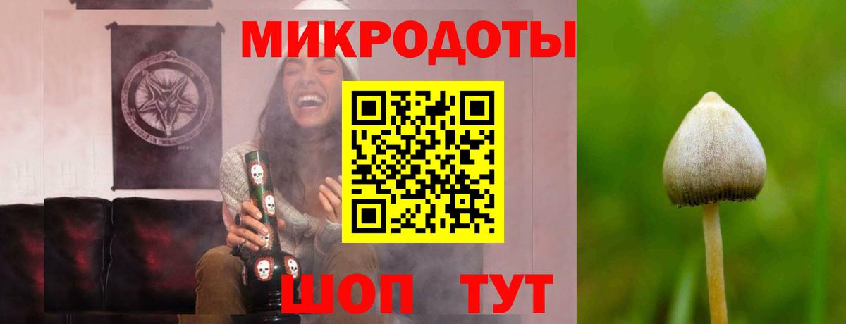 Галлюциногенные грибы Magic Shrooms Алексин